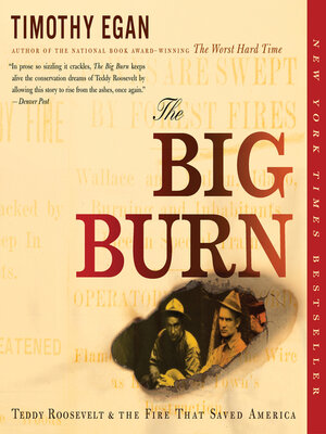 cover image of The Big Burn